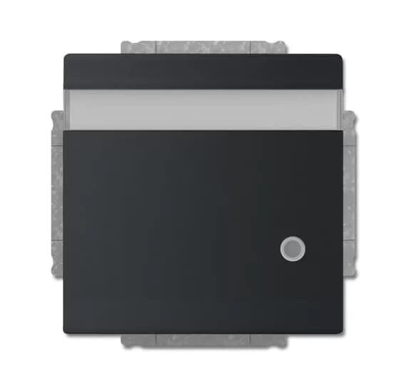 Busch-Jaeger 20 EUKNBL-885 | SCHUKO® Steckdosen-Einsatz mit Klappdeckel, Beschriftungsfeld und LED Kontrolllicht