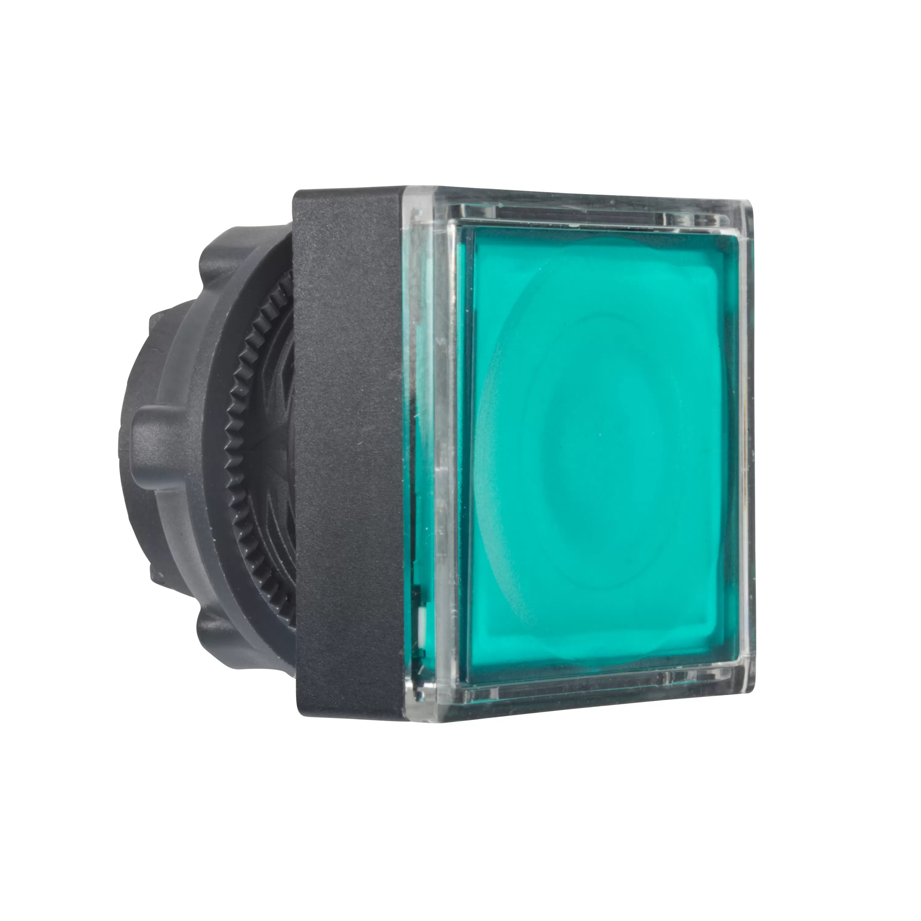 Schneider Electric Frontelement für Leuchtdrucktaster ZB5, tastend, grün, Ø 22 mm ZB5CW333