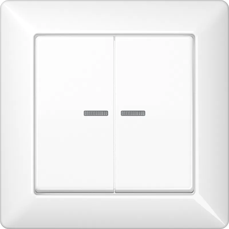 Jung Wippe 2fach mit Lichtleiter, mit Rahmen, Duroplast, Serie AS, alpinweiß AS590-5KO5WW