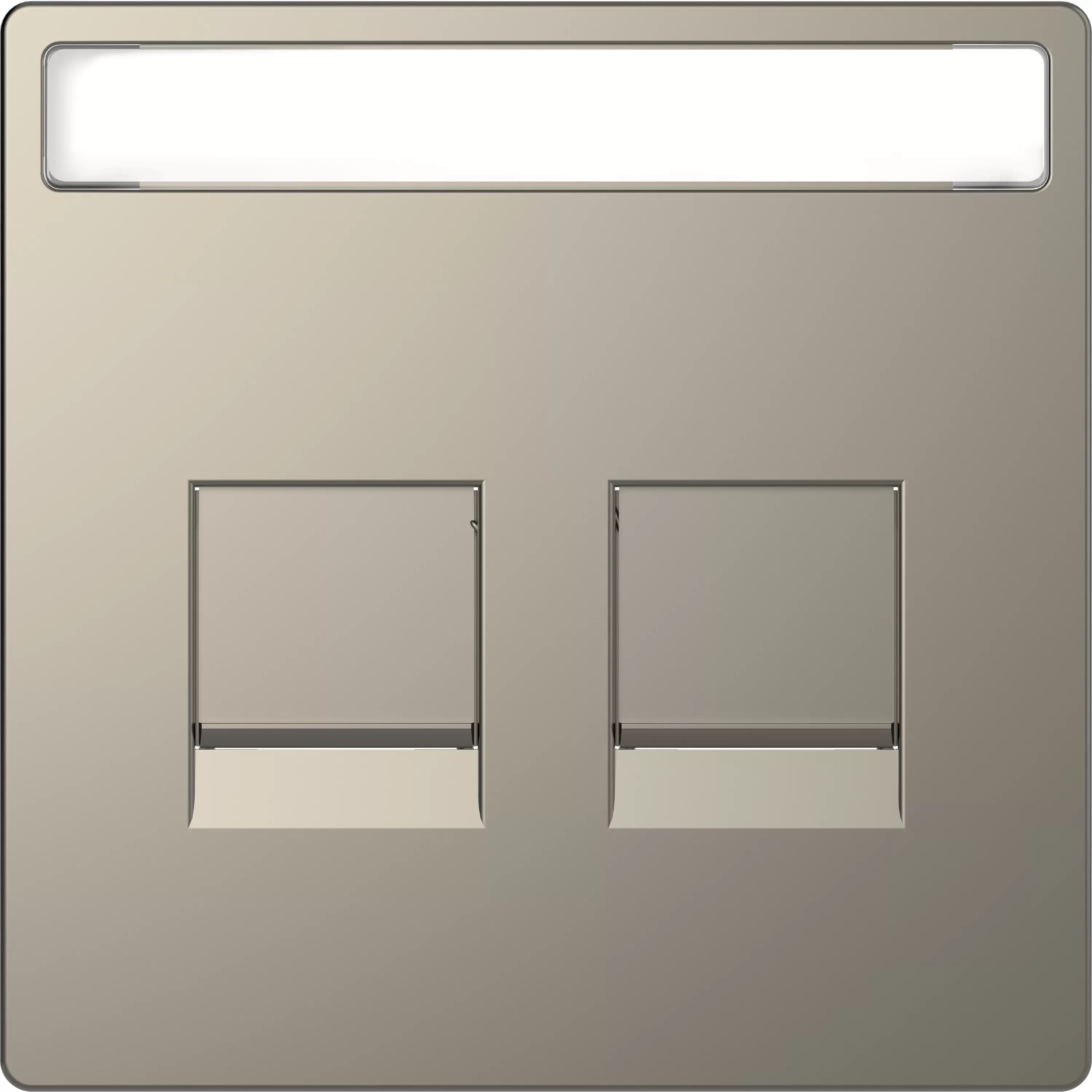 Merten Zentralplatte für Modular Jack 2fach mit Schriftfeld und Staubschutzschieber, Nickelmetallic, System Design MEG4564-6050