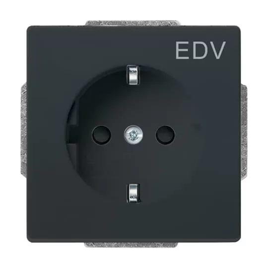 Busch-Jaeger 20 EUCKS/DV-81 | SCHUKO® Steckdosen-Einsatz mit Aufdruck EDV