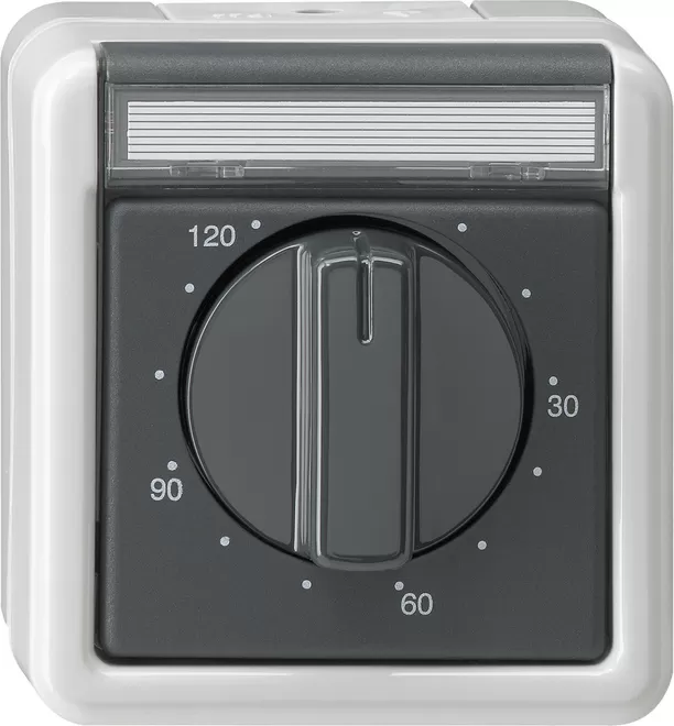 Gira Zeitschalter 2-p 120 min BSF WG AP Grau 032130