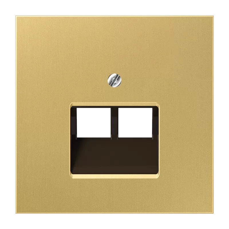 Jung Abdeckung für IAE/UAE-Anschlussdosen 2 x 8-polig, Messing, Serie LS, Messing classic ME2969-2UAC