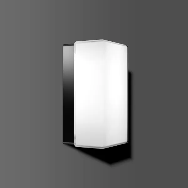 RZB Rechteck, schwarz, on/off Decken- und Wandleuchten, L 220 B 120 H 105, 148°, Glas opal 21146.003