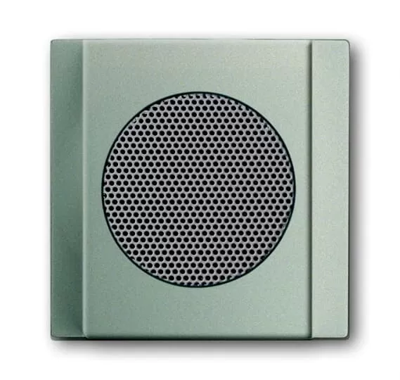 Busch-Jaeger 8253-79 | Zentralscheibe