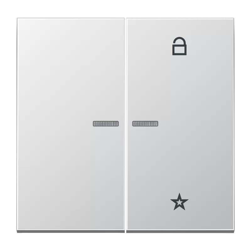 Jung eNet Funk-Steuertaste 2fach, Serie LS, Aluminium FMAL1701