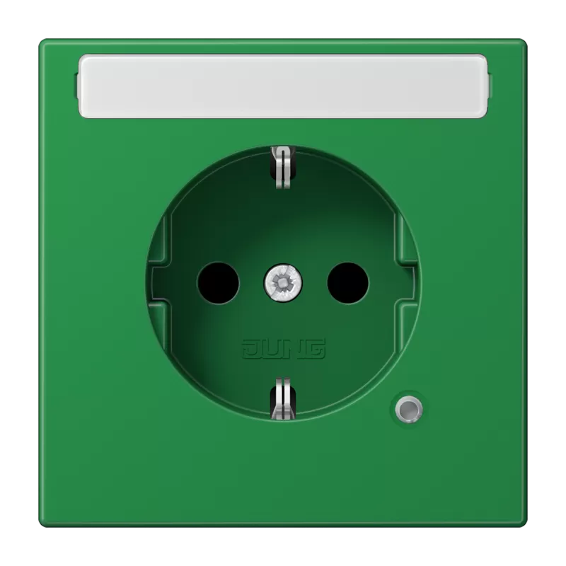 Jung SCHUKO Steckdose, 16 A 250 V ~, ohne Krallen, mit Funktionsanzeige, mit Schriftfeld, integrierter erhöhter Berührungsschutz, Thermoplast, Serie LS, gr LS1520BFNAKOGN