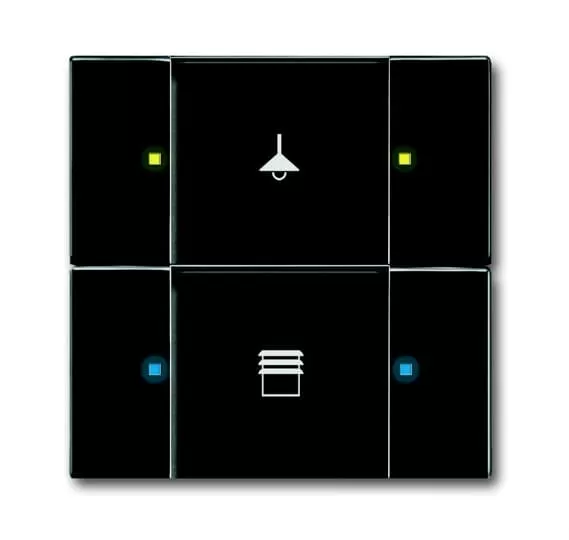 Busch-Jaeger 6126/02-885 | Bedienelement, 2/4-fach Multifunktion/Farbkonzept