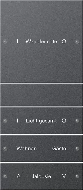 Gira Wippenset 4f (1+3) beschr. System 55 Anthrazit(lack.) 220428
