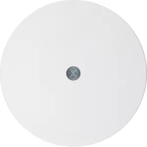 Berker Zentralstück f Ka u Vdo-Asd R.1 pw 10192089