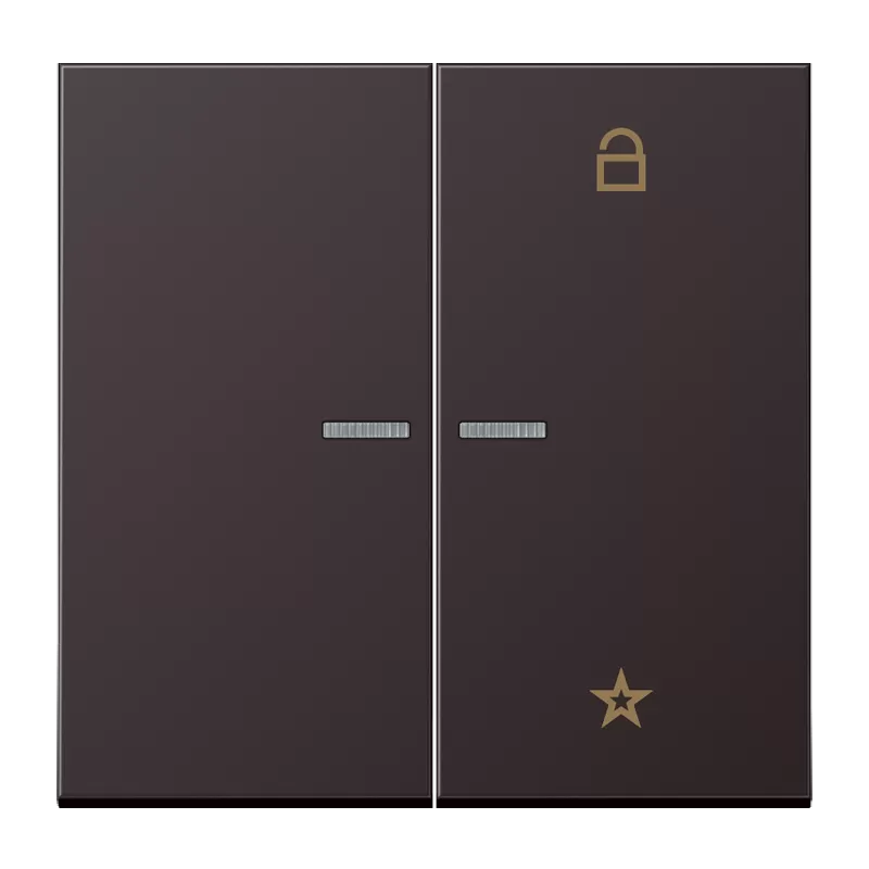 Jung eNet Funk-Steuertaste 2fach, Aluminium lackiert, Serie LS, dark (lackiertes Aluminium) FMAL1701D