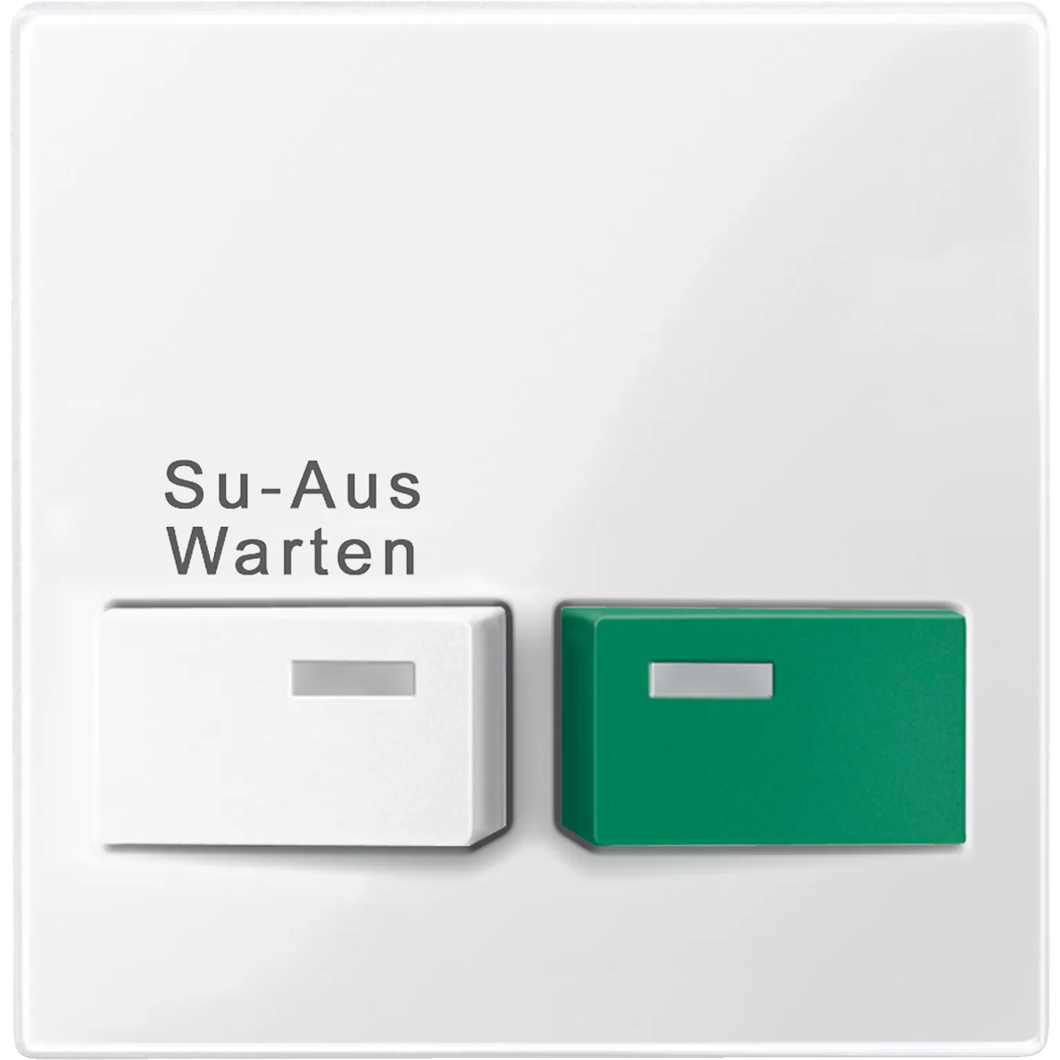 Merten Zentralplatte für Dienstzimmereinheit, polarweiß glänzend, System M 452119