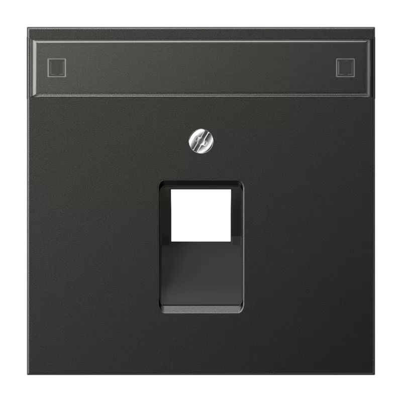 Jung Abdeckung für IAE/UAE-Anschlussdosen 1 x 8-polig, mit Schriftfeld, Aluminium lackiert, Serie LS, anthrazit (lackiertes Aluminium) AL2969-1NAUAAN
