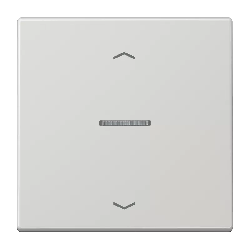 Jung Wippe mit Lichtleiter, mit Pfeilsymbolen für KNX Taster 1fach, Duroplast, Serie LS, lichtgrau LS101KO5PLG