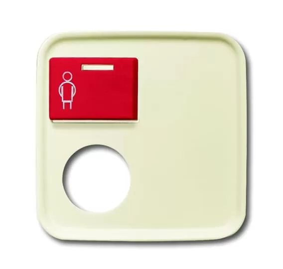 Busch-Jaeger 2548-071 E-212-101 | Zentralscheibe
