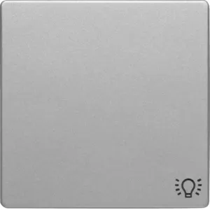 Berker Wippe mit Aufdr Symbol Licht Q.1/Q.3 alu 16206044