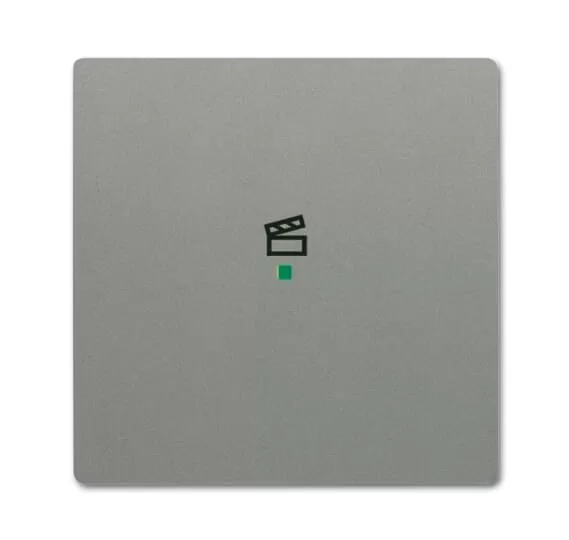 Busch-Jaeger 6233-10-803 | Wippe 1-fach, mit Symbol Szene