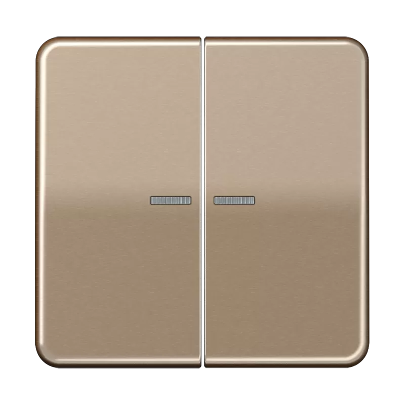 Jung Wippe mit Lichtleiter für KNX Taster 2fach, Duroplast lackiert, Serie CD, gold-bronze CD102KO5GB