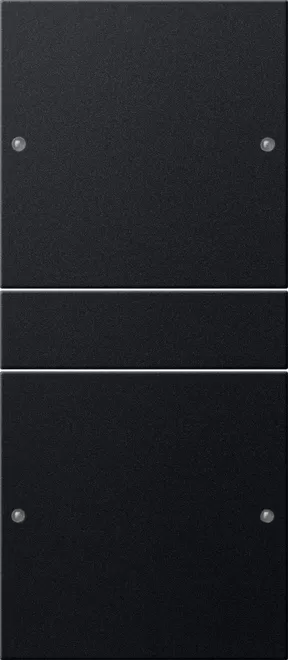 Gira Wippenset 2f (1+1) System 55 Schwarz m(lack.) 2182005