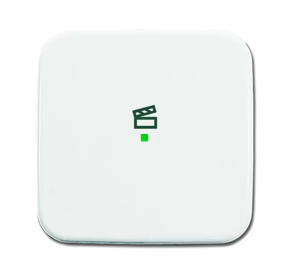 Busch-Jaeger 6233-10-214 | Wippe 1-fach, mit Symbol Szene