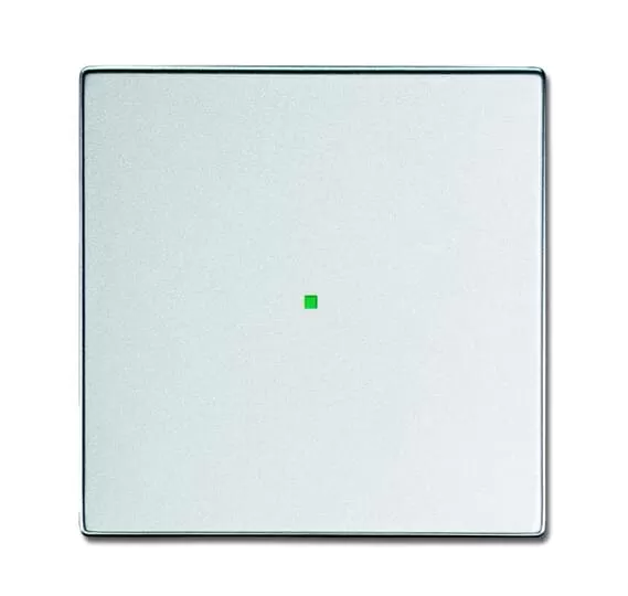 Busch-Jaeger 6230-10-83 | Wippe 1-fach, ohne Bedruckung