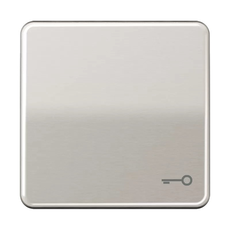 Jung Wippe 1fach, Symbol Tür, Aluminium eloxiert, Serie CD, platin CD590TPT