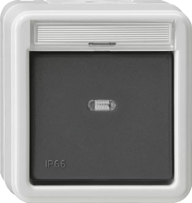 Gira Wippschalter AusWe BSF WD AP Grau 010631