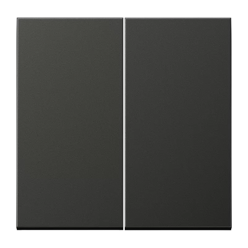 Jung Steuertaste 2fach Standard, Aluminium lackiert, Serie LS, anthrazit (lackiertes Aluminium) AL1702AN