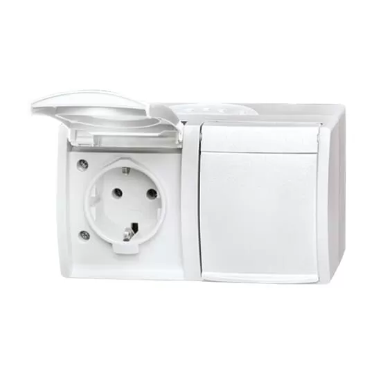 Busch-Jaeger 20/2 EW-54 | SCHUKO® Steckdose 2-fach