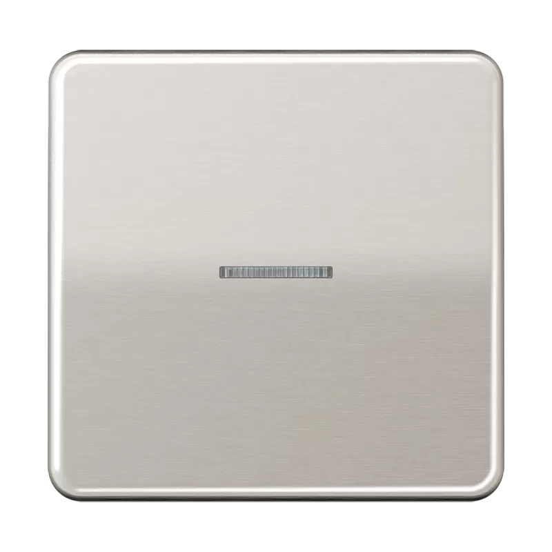 Jung Wippe 1fach mit Lichtleiter, Aluminium eloxiert, Serie CD, platin CD590KO5PT