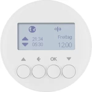 Berker KNX-Funk Jalou-Uhr quickl R.1/R.3 pw 85745139