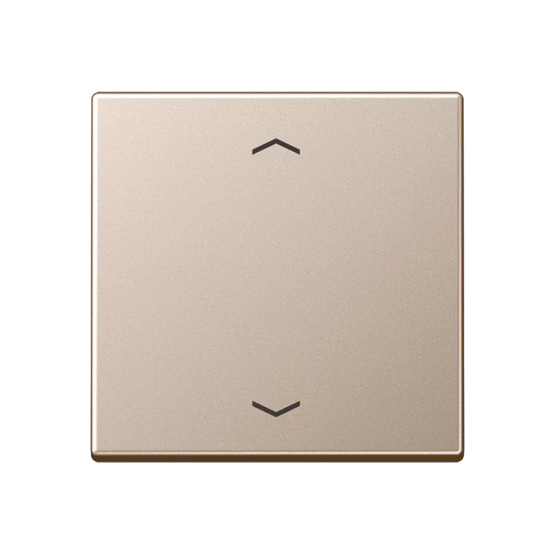 Jung Steuertaste Standard, mit Pfeilsymbolen, Duroplast lackiert, Serie A, champagner A1700PCH
