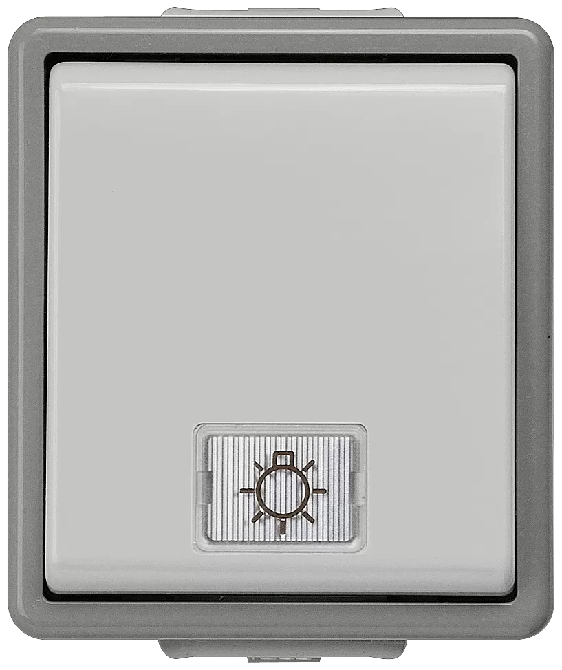 Siemens DELTA fläche IP44, AP dunkelgrau/hellgrau Taster, 10A 250V, 66x 75mm 5TD4705