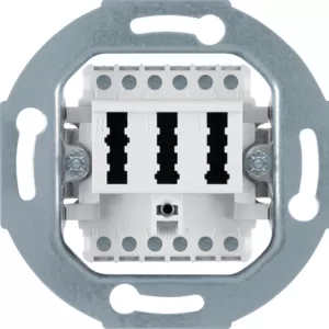 Berker TAE-Anschlussdose 2 X 6/6Nff Modul-Ein 454409