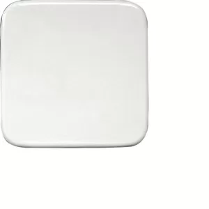 Eltako Wippe lasergraviert für Funktaster 55x55mm für Busch Reflex und Duro 30000967
