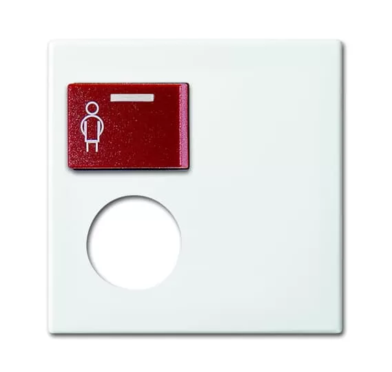 Busch-Jaeger 2548-071 E-914 | Zentralscheibe