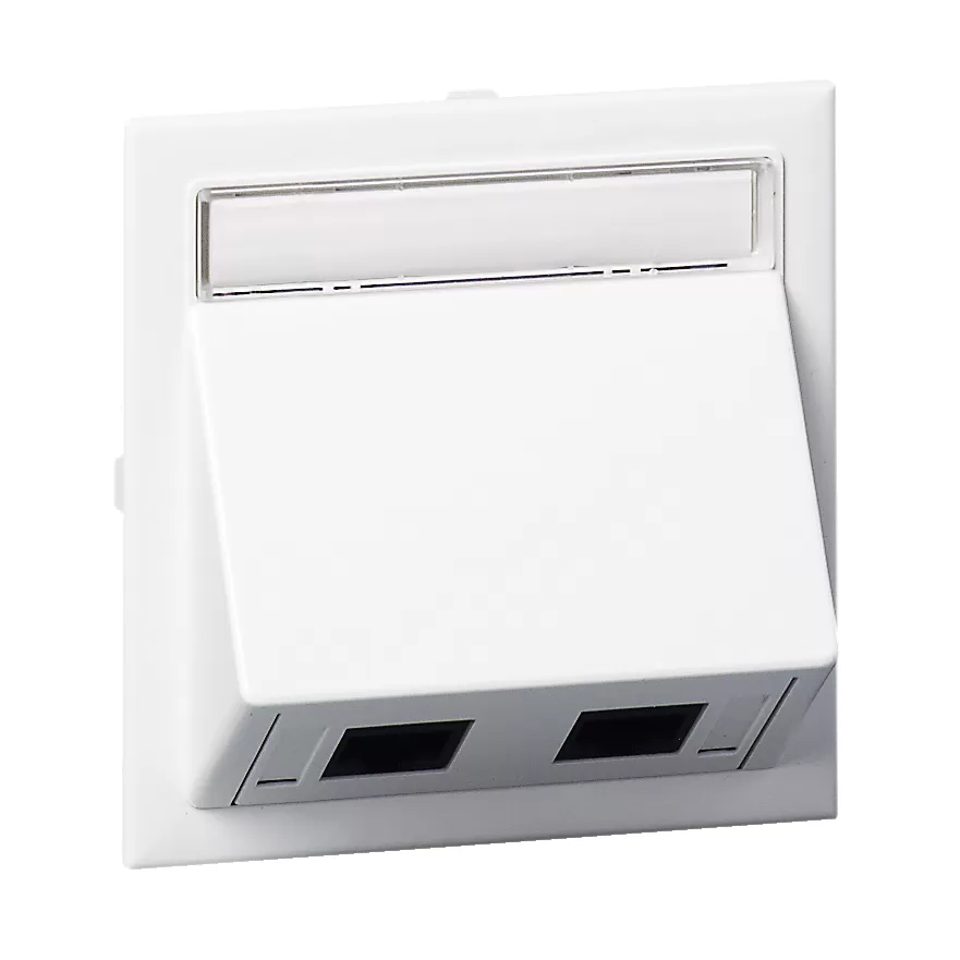 Schneider Electric Anschlußsatz schräg 1XActassi 250 cat6 STP weiß RAL9016 Typ:CYB-DP 5974100