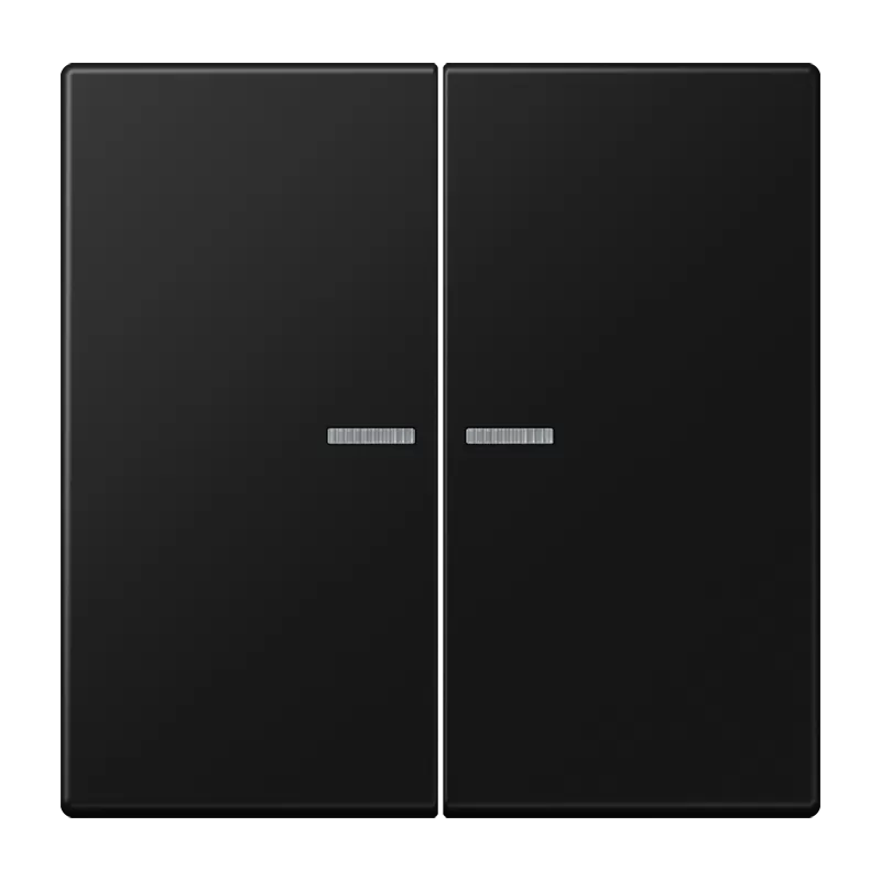 Jung Wippe mit Lichtleiter für KNX Taster 2fach, Duroplast lackiert, Serie LS, graphitschwarz matt LS102KO5SWM