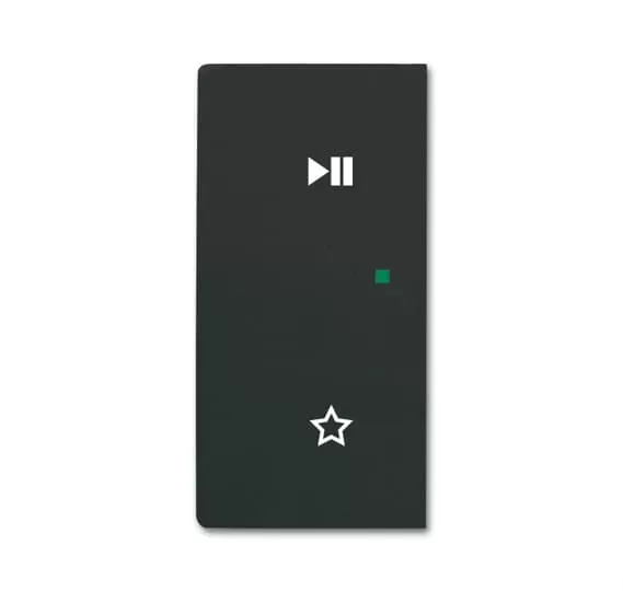 Busch-Jaeger 6237-21-885 | 6237-21-885 Wippe/L 2-fach,Play/Pause