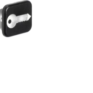 Berker Linse m Druck Sym Schlüssel W.1 10er-Set 18223503