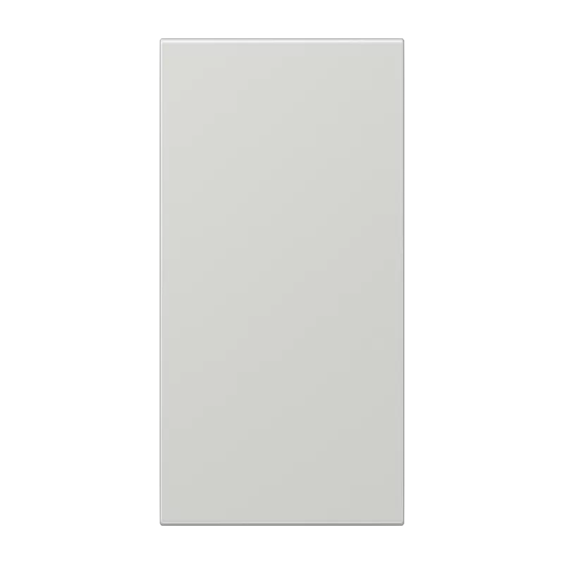 Jung Abdeckung in Tastenfarbe, F50, Serie LS, lichtgrau LS50NALG