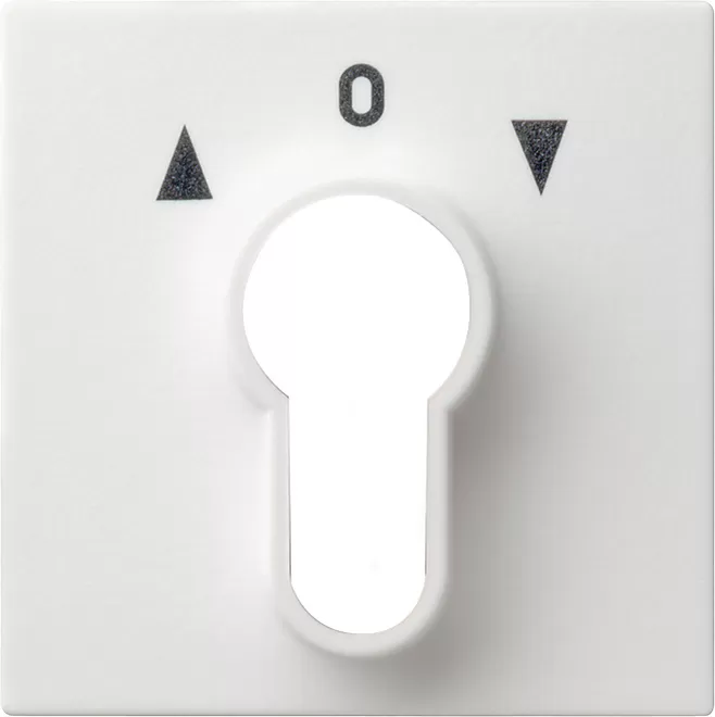Gira Abd. Schlüsselschalter/-taster System 55 Reinweiß 066403