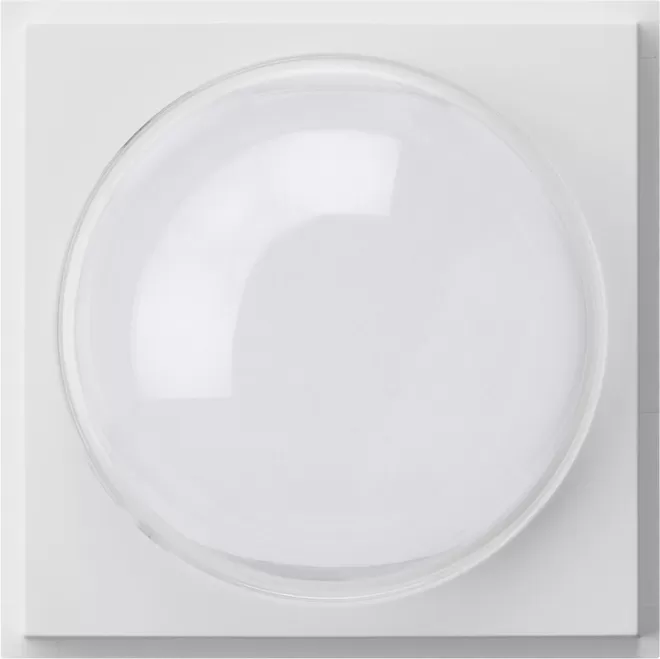 Gira Abd. Farbkamera Gira TX_44 Reinweiß 141566