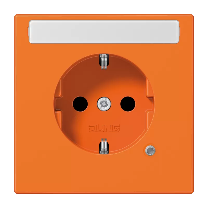 Jung SCHUKO Steckdose, 16 A 250 V ~, ohne Krallen, mit Funktionsanzeige, mit Schriftfeld, integrierter erhöhter Berührungsschutz, Thermoplast, Serie LS, or LS1520BFNAKOO