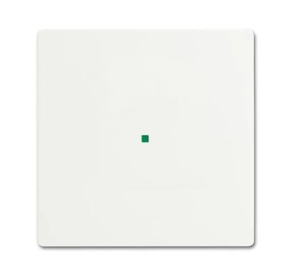 Busch-Jaeger 6230-10-884 | Wippe 1-fach, ohne Bedruckung