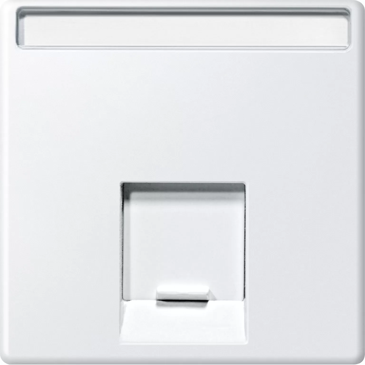 Merten Zentralplatte für Schneider Electric-Connector 1fach, polarweiß, System M MEG4573-0419