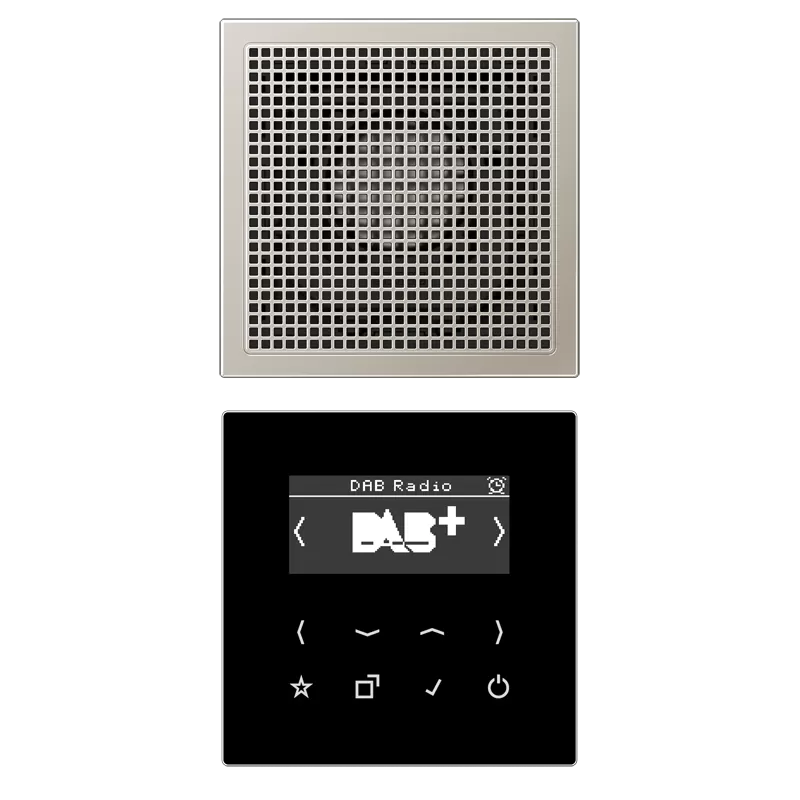 Jung Smart Radio DAB+, Set Mono, Serie LS, Edelstahl DABES1