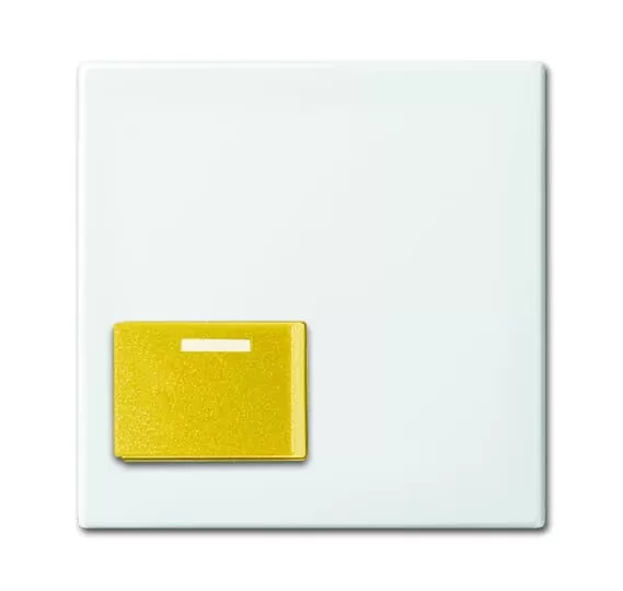 Busch-Jaeger 2548-642 D-914 | Zentralscheibe