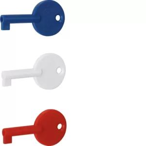Hager Ersatz-Schlüssel 3er Set RXE02D