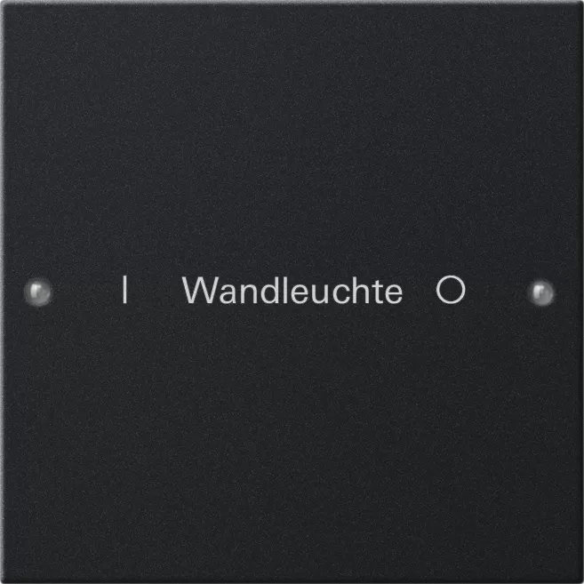 Gira Wippenset 1f beschr. System 55 Schwarz m(lack.) 2201005
